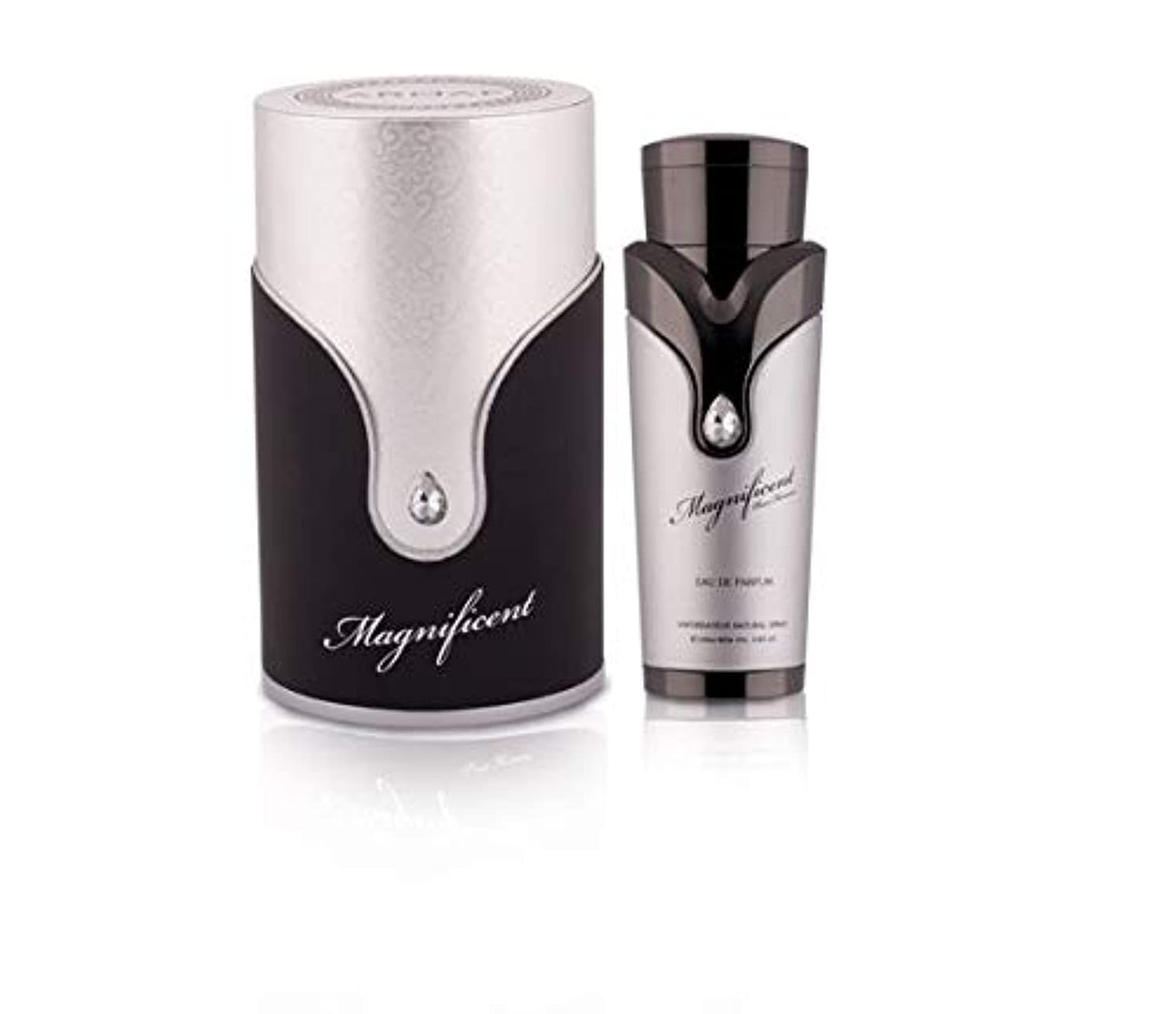 Magnificent SilverEau De Parfum For Men