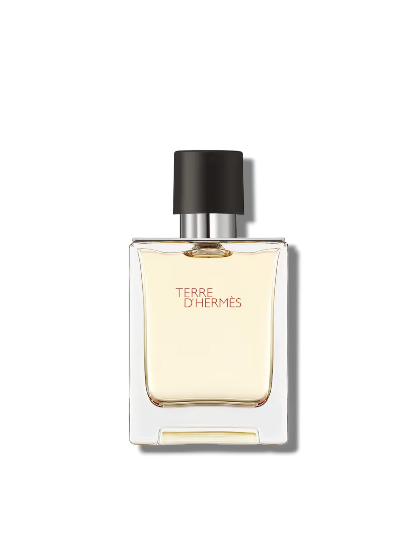 Terre d' Hermes Eau de Toilette