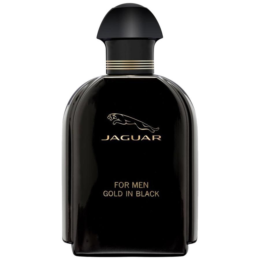 Gold In Black Eau De Toilette For Men