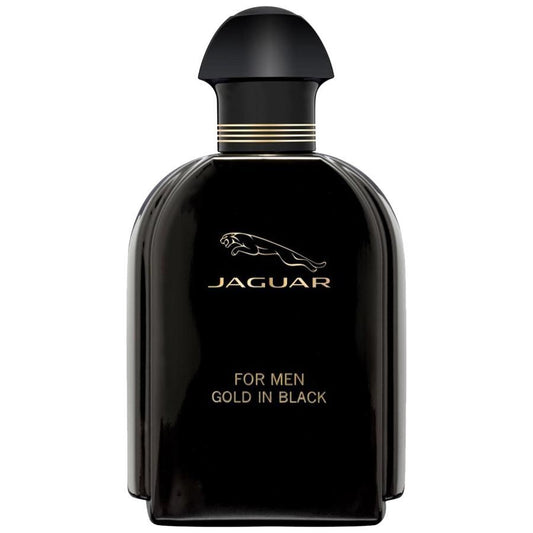 Gold In Black Eau De Toilette For Men
